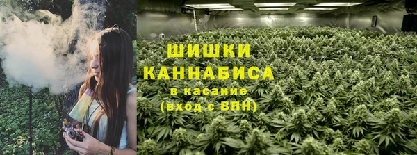 каннабис Осташков