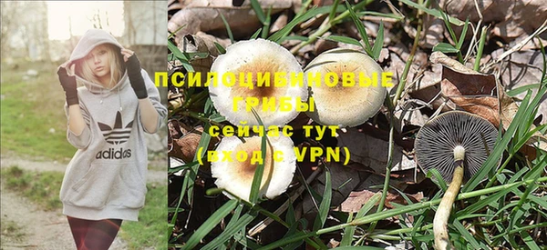 мескалин Богородск